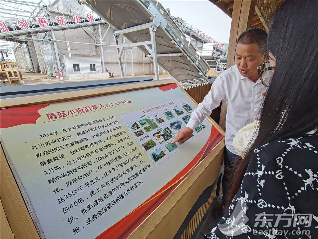 LD乐动 乐动体育新征程奋进者｜亩产量翻了30多倍 他联农致富把小蘑菇做成大产业(图4)