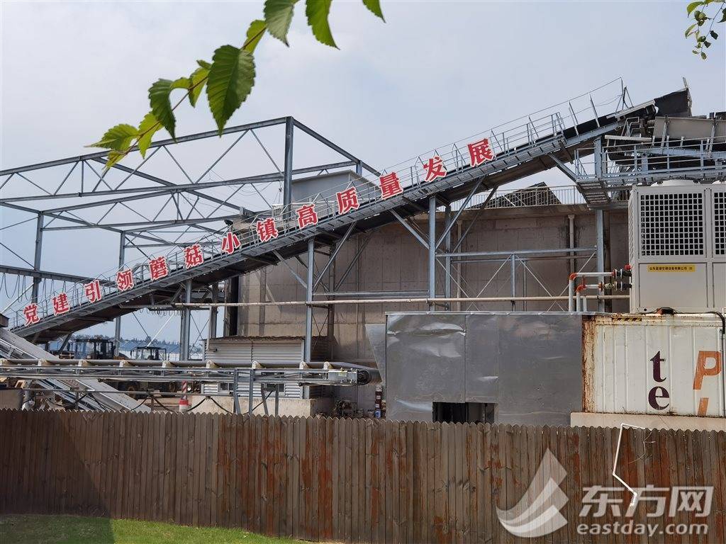 LD乐动 乐动体育新征程奋进者｜亩产量翻了30多倍 他联农致富把小蘑菇做成大产业(图5)