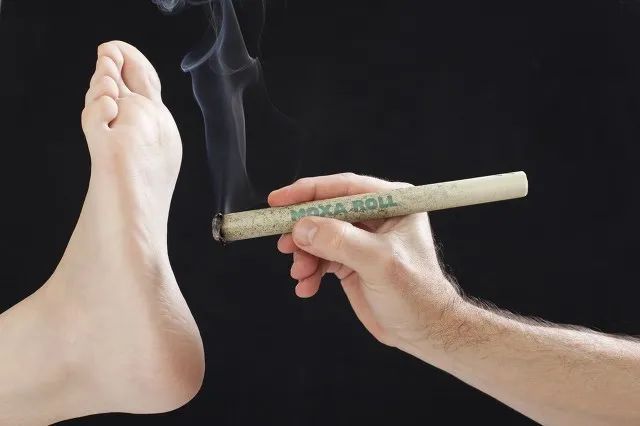 LD乐动 乐动体育已种草99+人！有它随时随地轻松内调和湿胖困倦说拜拜(图12)