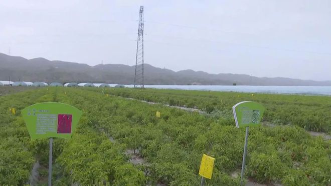 脱贫攻坚生态LD乐动体育环境…隆德这些工作让媒体人拍手叫好！(图5)