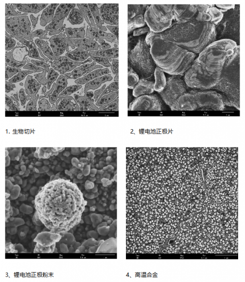 挑战巅峰！国产电镜迎来“跨越式”高质量发展乐动体育 LD体育(图7)