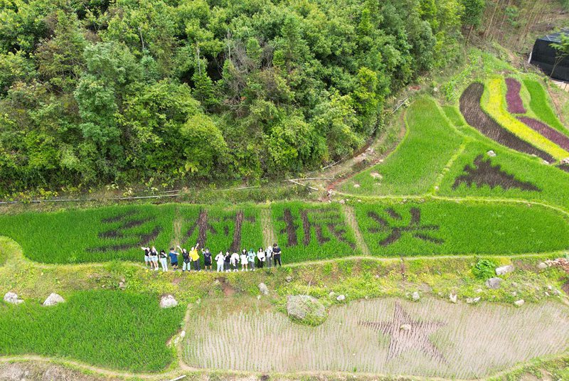 LD乐动体育浙滇“山海情”：跨越千里的帮扶“芝”路(图7)