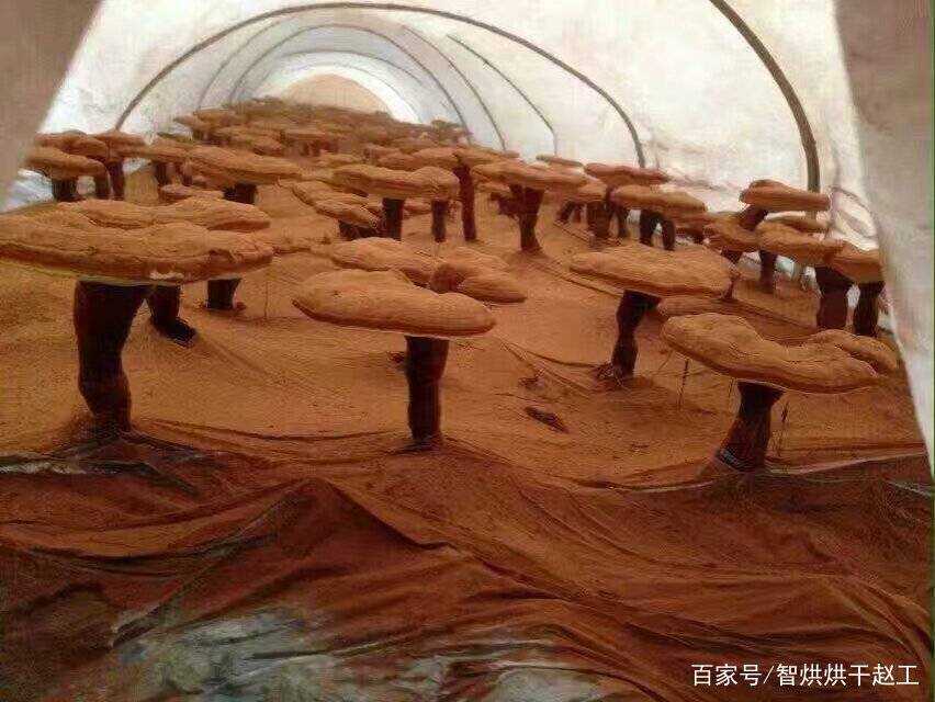 热泵灵芝烘干机软件系统：控温控湿LD乐动 乐动体育(图2)
