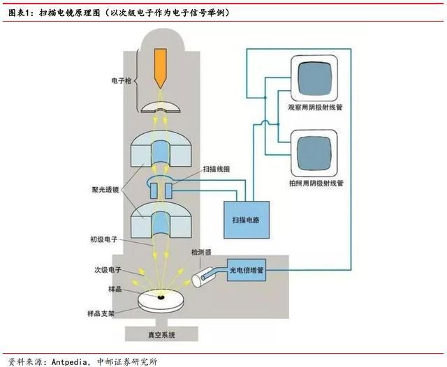 进口依赖度高扫乐动体育 LD体育描电镜：贴息政策扶持下国产替代能否加速？(图2)