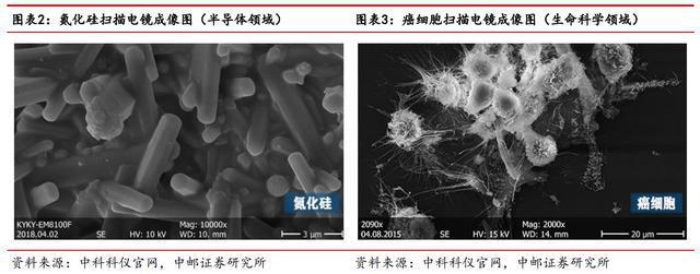 进口依赖度高扫乐动体育 LD体育描电镜：贴息政策扶持下国产替代能否加速？(图3)