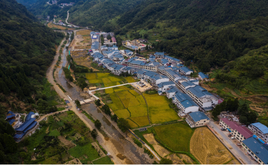 LD乐动体育中粮集团：助力奔小康(图3)
