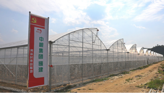 LD乐动体育中粮集团：助力奔小康(图4)