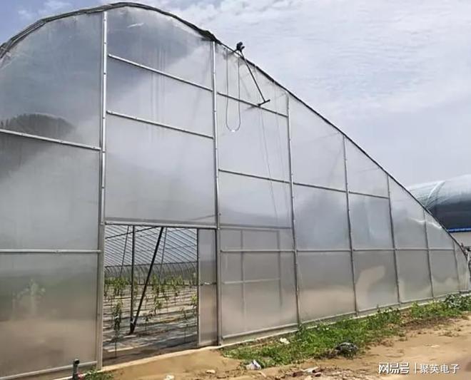 智能食LD乐动体育用菌大棚打造手机控温控湿的温室(图4)