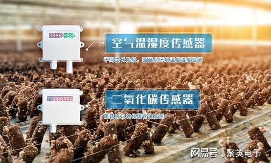 智能食LD乐动体育用菌大棚打造手机控温控湿的温室(图8)