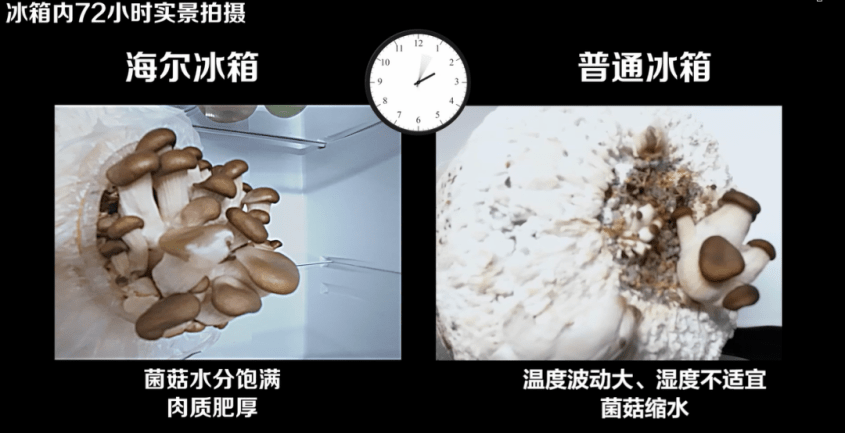 海尔感恩月：为用户幸福主动乐动体育接受挑战