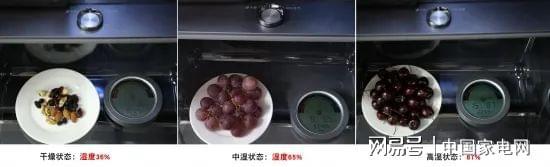 LD乐动 乐动体育海信璀璨系列新品JC-166WZKJC1P厅吧评测 真空存储打造艺术生活(图17)