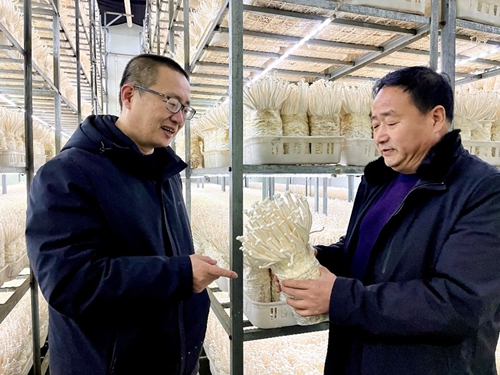 乐动体育 LD体育这个春节 涞水“新型农民”格外忙