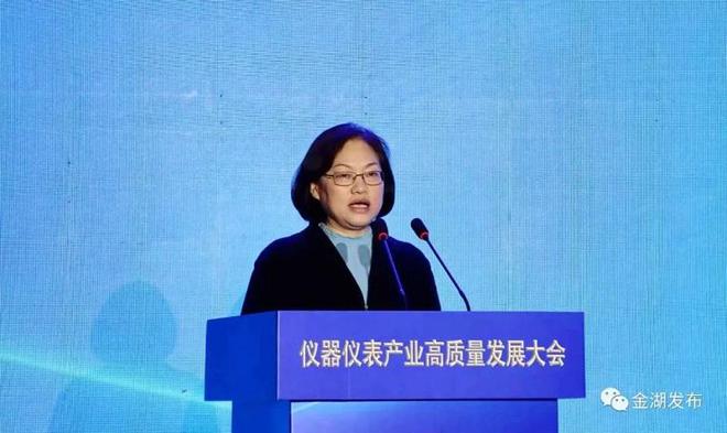 “市监护航 聚力发展”暨仪器仪表产业高质量发LD乐动 乐动体育展大会在金举行(图3)