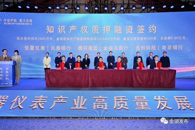 “市监护航 聚力发展”暨仪器仪表产业高质量发LD乐动 乐动体育展大会在金举行(图7)