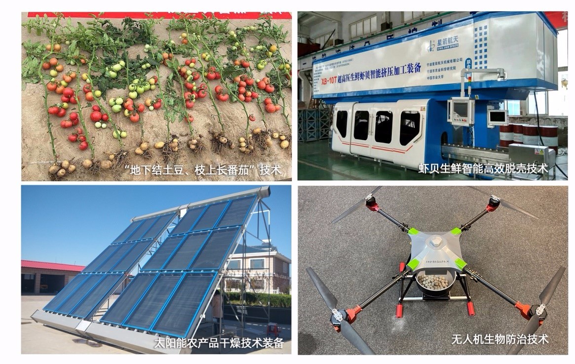 科技兴农LD乐动体育助产业振兴 全国农村创新创业实用技术路演活动举行(图4)