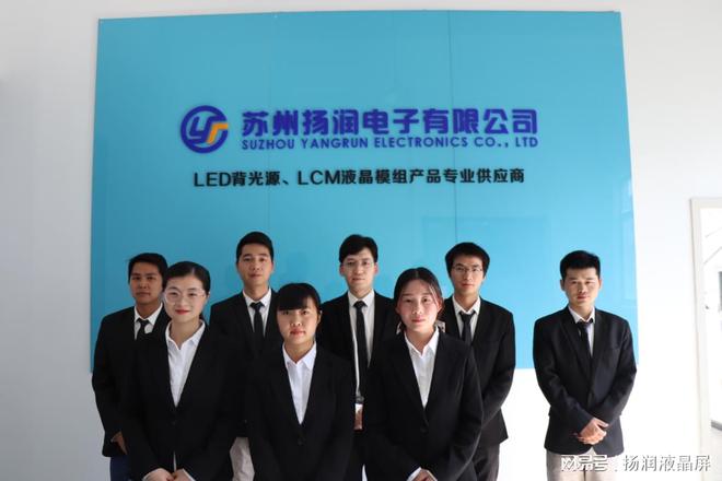 仪器仪表选择什么乐动体育仪表显示屏合适？(图3)