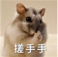 乐动体育集合竞价散户也能抓涨停？！后悔自己知道晚了！