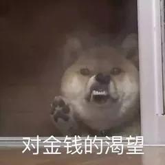 乐动体育 LD体育短线买股总是被坑？因为你根本没有选对股！