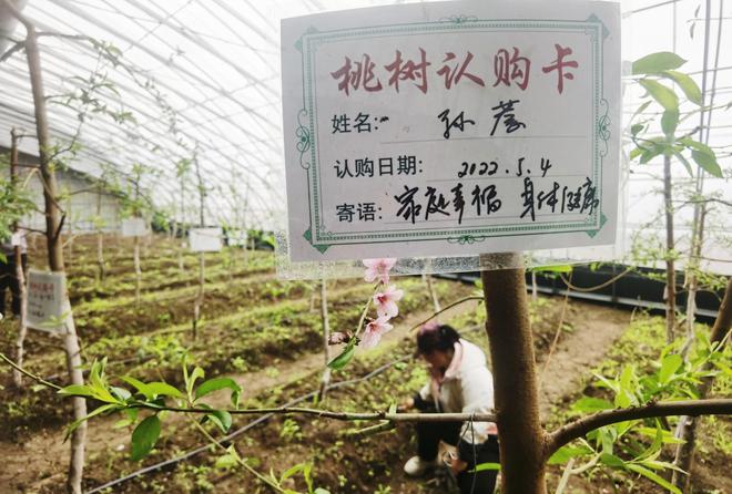 【春日里的中国】黑土地上插了“科技LD乐动体育翅膀”(图4)