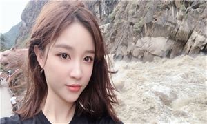 《即食自然发酵火腿》团体标准通过审查 火腿行业LD乐动体育市场前瞻(图5)