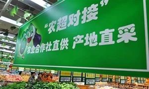 《即食自然发酵火腿》团体标准通过审查 火腿行业LD乐动体育市场前瞻(图6)