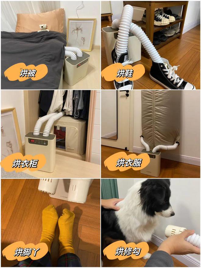 LD乐动体育推广 小几百解决大烦恼这两个月花得最值的一笔钱就是它！(图5)