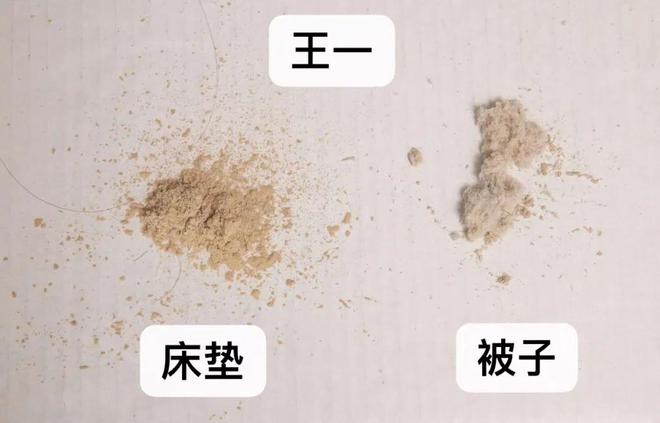 LD乐动体育推广 小几百解决大烦恼这两个月花得最值的一笔钱就是它！(图35)
