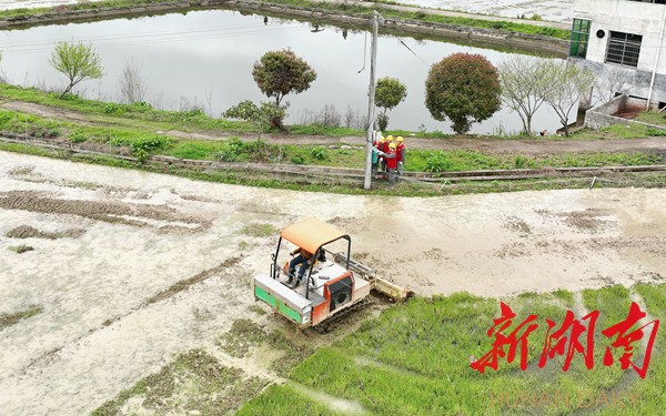 国网衡阳供乐动体育电公司：优质电能助农“慧”耕种