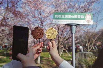 北京玉渊潭公园早樱“LD乐动体育超长待机”(图3)