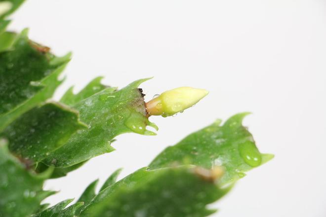 深圳好点的儿童眼科？排行榜：英华儿童眼科榜上有名LD乐动 乐动体育(图5)