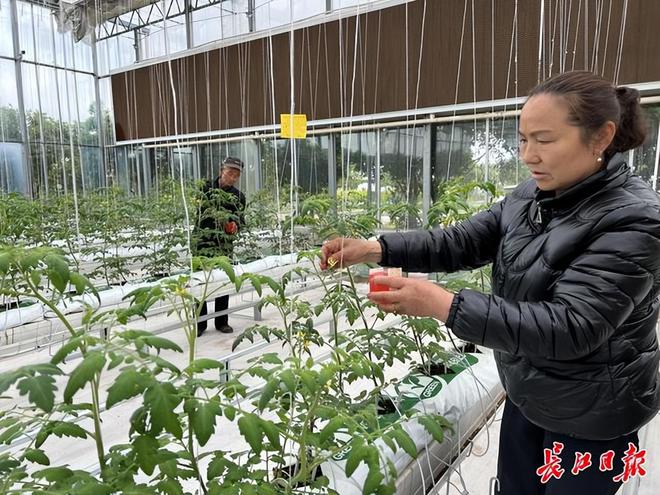 乐动体育《大地》武汉乡村振兴周刊第073期(图2)