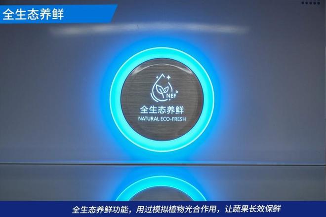 乐动体育容声BCD-620WD19FP冰箱评测：长效养鲜与颜值兼具(图15)