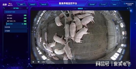LD乐动体育畜禽养殖物联网系统解决方案在线监测(图5)