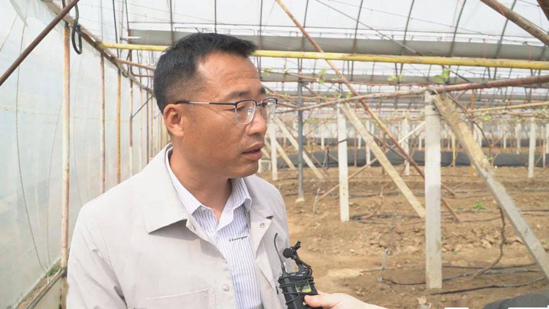 LD乐动体育“智慧农业”让种植更智能(图4)