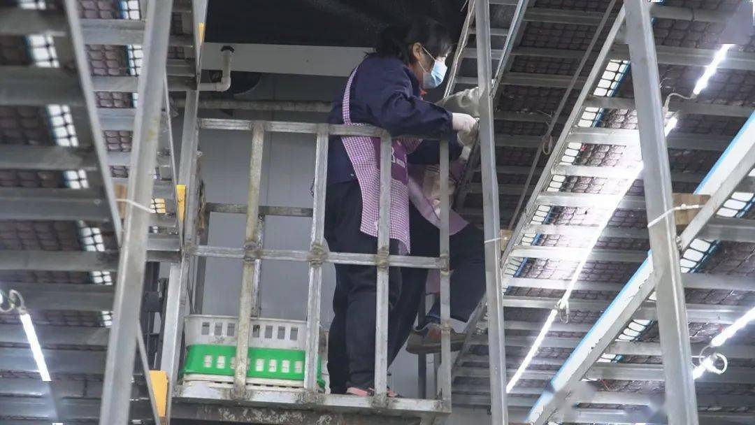 LD乐动体育“智慧农业”让种植更智能(图6)