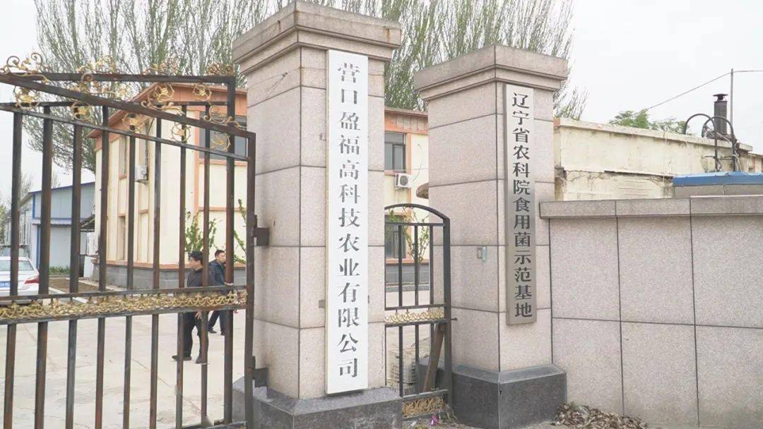 LD乐动体育“智慧农业”让种植更智能(图12)