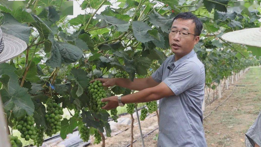 LD乐动体育“智慧农业”让种植更智能(图10)