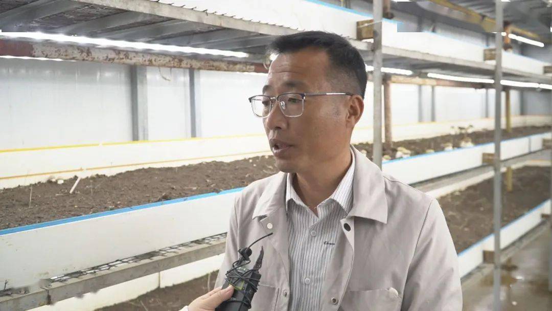 LD乐动体育“智慧农业”让种植更智能(图8)