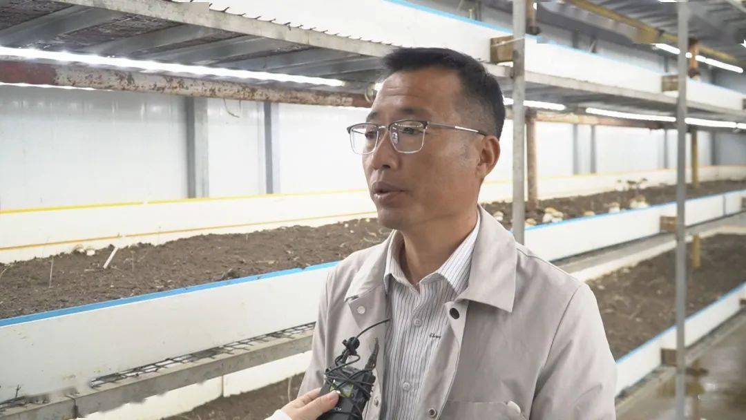 LD乐动体育“智慧农业”让种植更智能(图14)