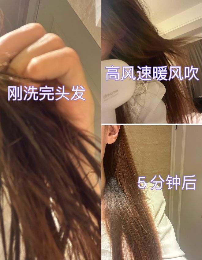 LD乐动体育不想伤发又想头发干得快强烈建议你试试它！(图9)