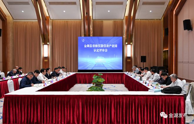 乐动体育金湖仪器仪表产业园通过省专家评审组验收