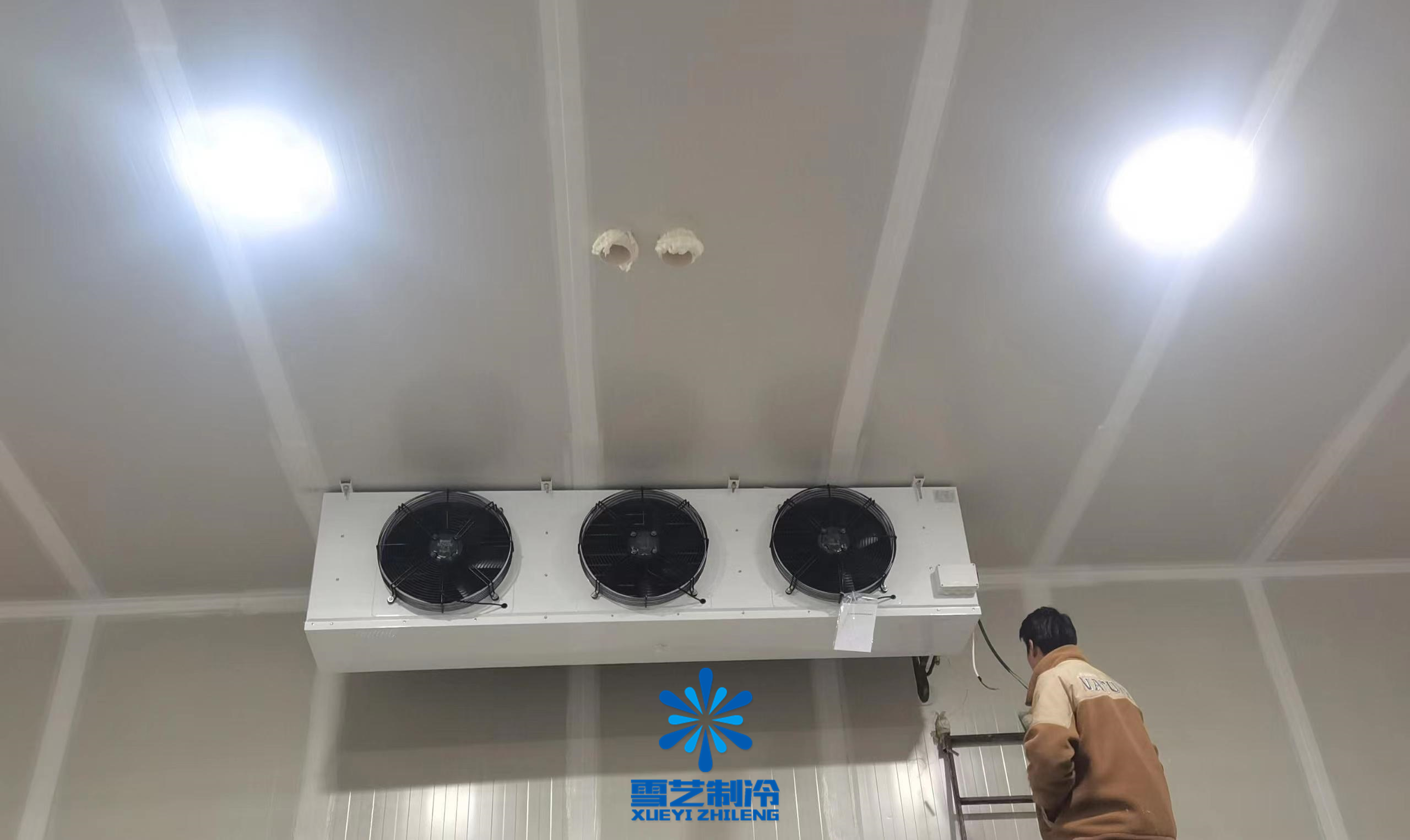 专业上海LD乐动体育冷库安装公司(图2)
