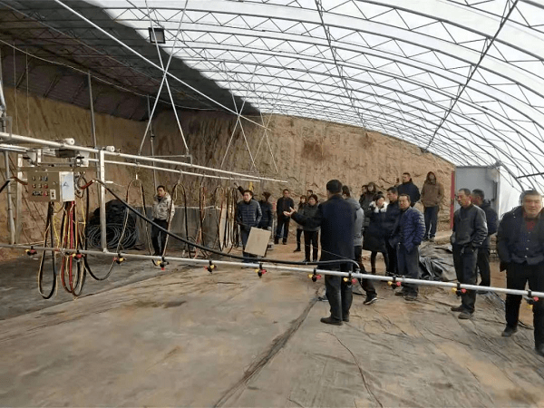乐动体育 LD体育【农牧•旗县】九原区、东河区农牧业工作动态(图2)