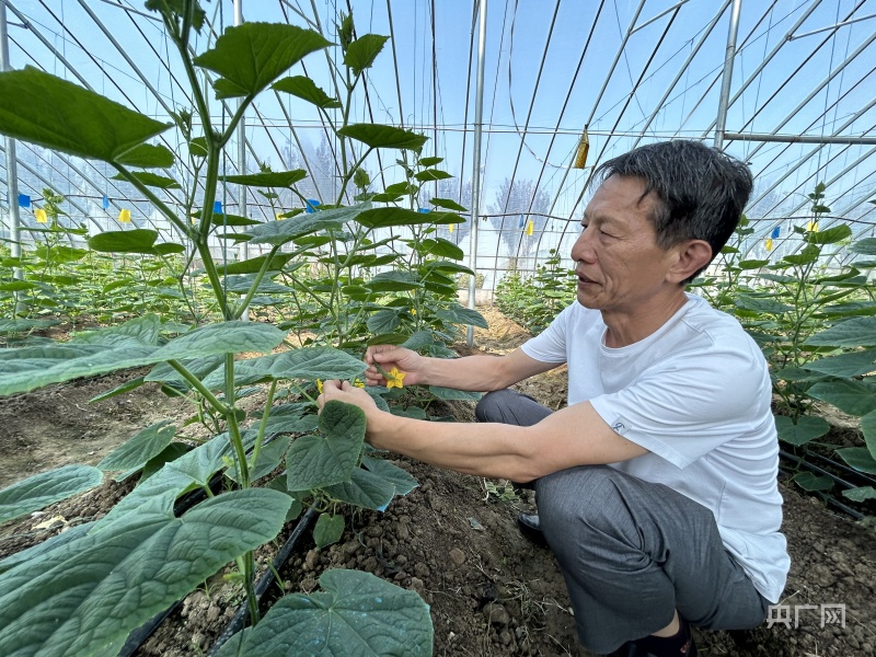 乡村振兴看安徽 怀远：科技进田 增产优产LD乐动体育有“底气”(图6)