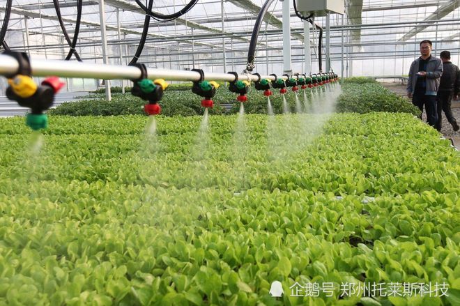 LD乐动体育一套智能化温室大棚到底要多少预算？看完你就明白了！(图3)