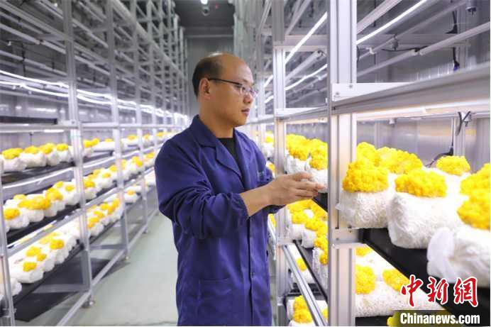 山东多地加快发展数字农LD乐动体育业 打造智慧农田新模式(图3)