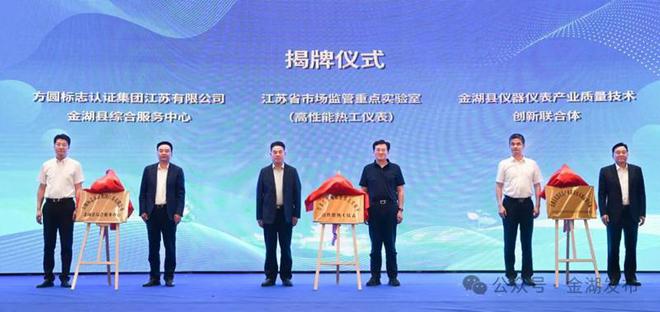 第四届淮河华商大会（金湖）仪器仪乐动体育 LD体育表产业推介暨第二届仪器仪表产业高质量发展会议在金举行(图7)