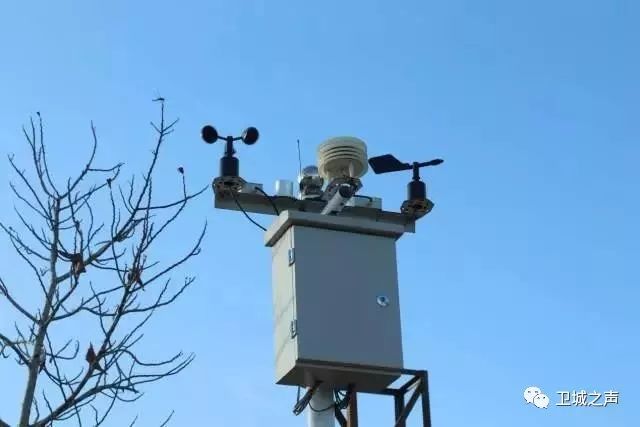 碣石的甘薯产业发展迅猛有望带动农民发展致富……LD乐动体育(图5)