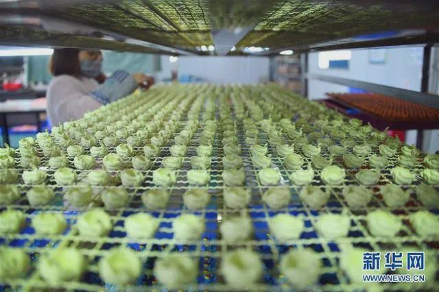 乐动体育中国给欧美好好上了一课！(图2)