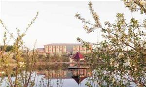 乐动体育2022仪器仪表行业发展现状及市场前景分析(图6)